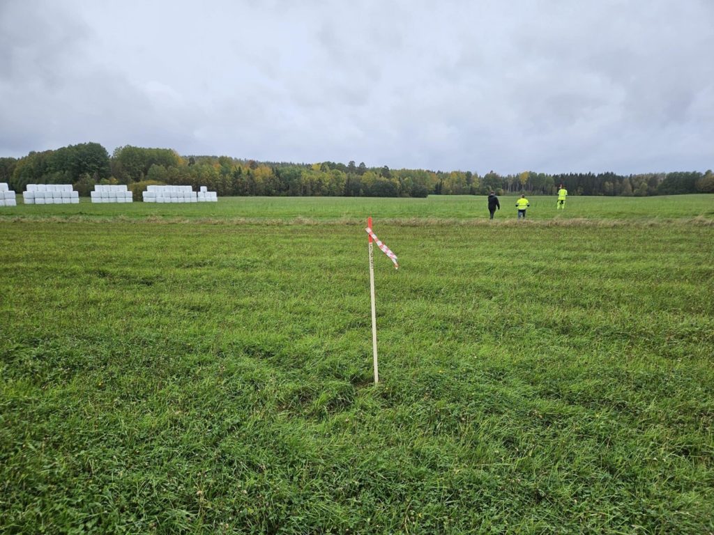 Ongoing survey. Stake marking boundary.